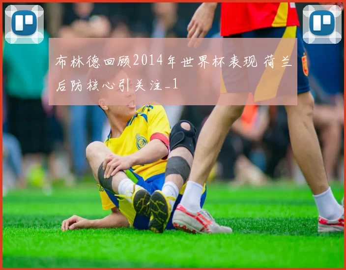 布林德回顾2014年世界杯表现 荷兰后防核心引关注_1