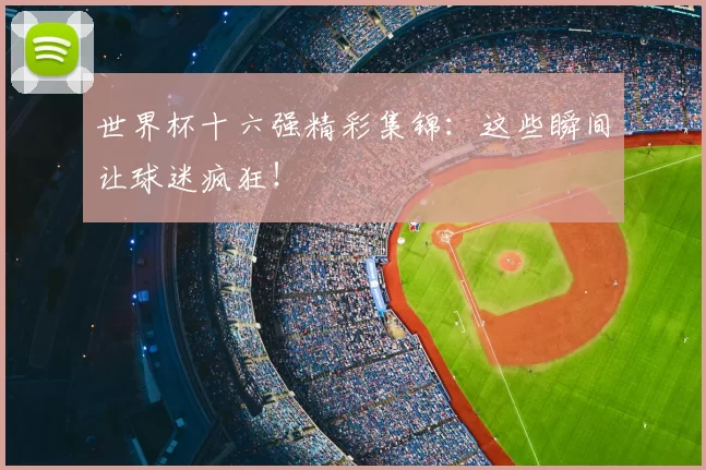 世界杯十六强精彩集锦:这些瞬间让球迷疯狂!