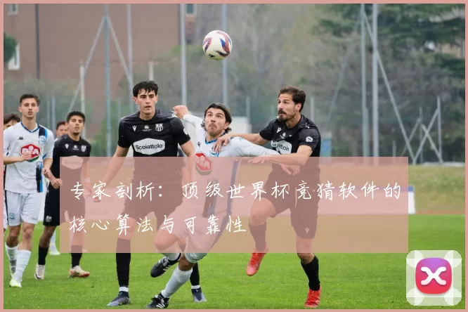 专家剖析：顶级世界杯竞猜软件的核心算法与可靠性