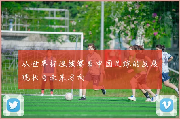 从世界杯选拔赛看中国足球的发展现状与未来方向