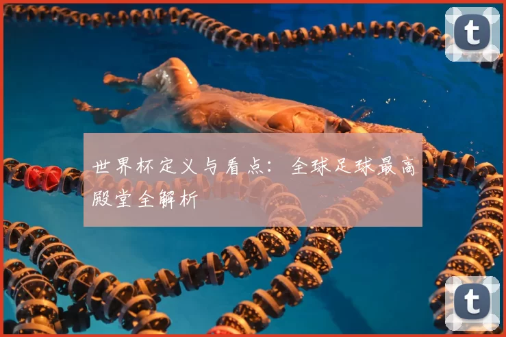 世界杯定义与看点:全球足球最高殿堂全解析