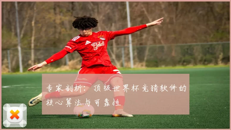 专家剖析:顶级世界杯竞猜软件的核心算法与可靠性