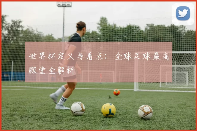 世界杯定义与看点:全球足球最高殿堂全解析