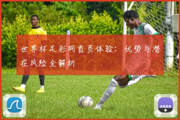 世界杯足彩网首页体验：优势与潜在风险全解析