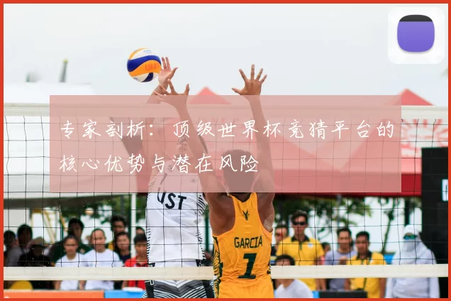 专家剖析：顶级世界杯竞猜平台的核心优势与潜在风险