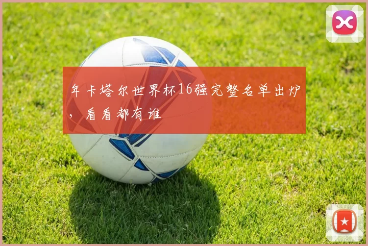 年卡塔尔世界杯16强完整名单出炉，看看都有谁