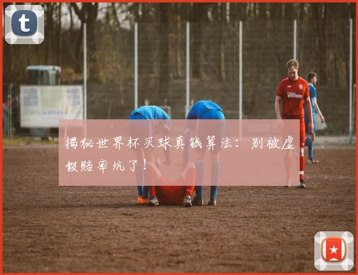 揭秘世界杯买球真钱算法：别被虚假赔率坑了！